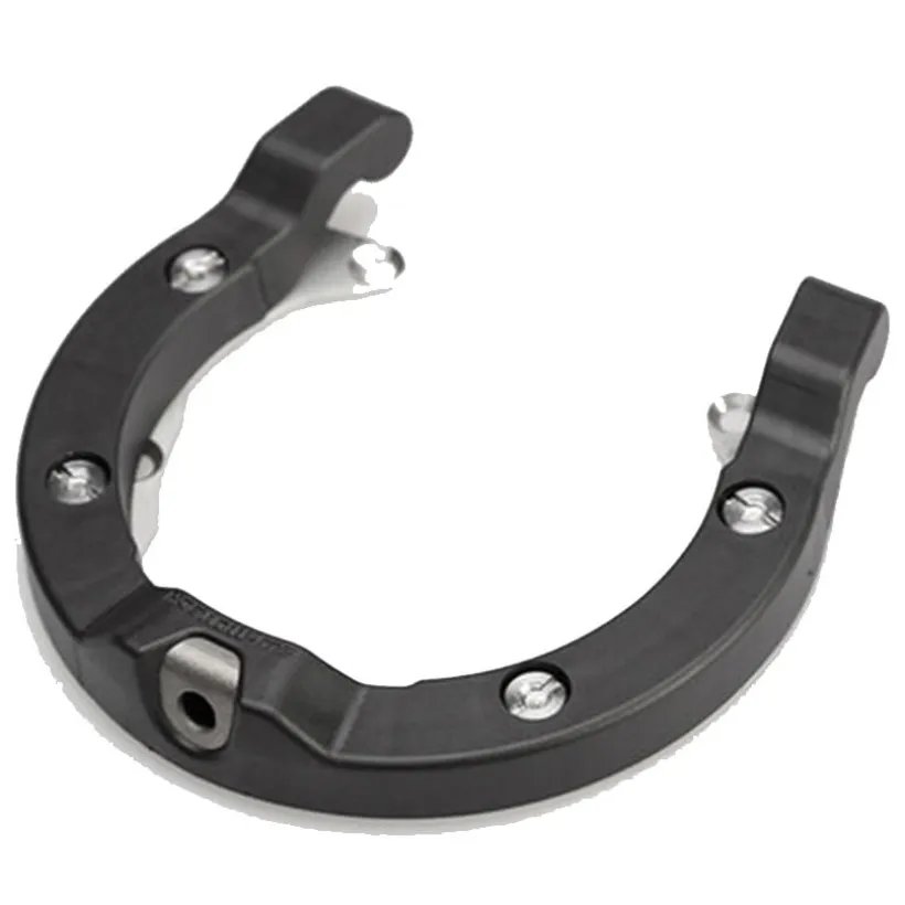 Ion Tankring